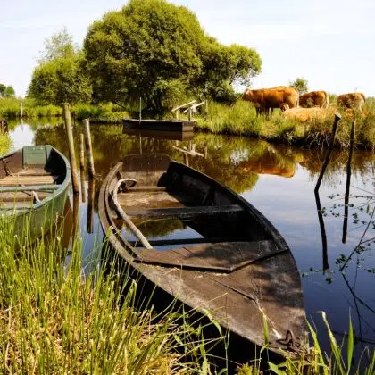 Marais de la Grande Brière (Loire-Atlantique)