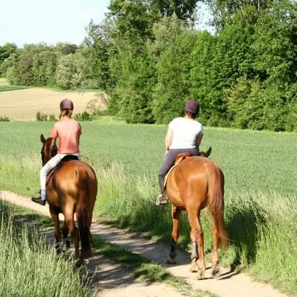 Balade a cheval dans la campagne.